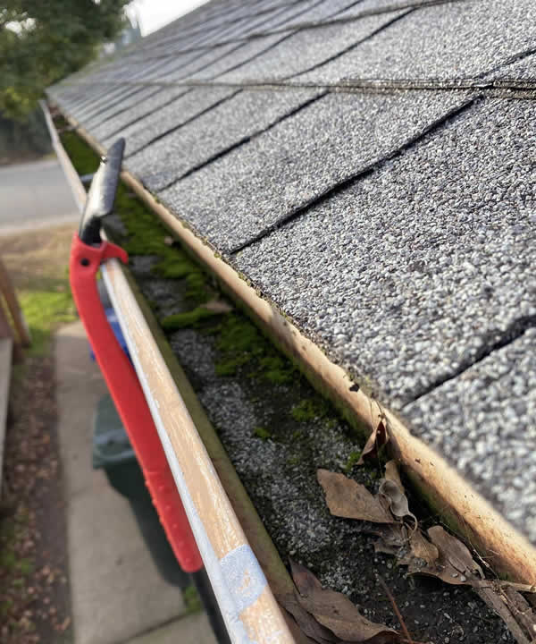 Gutter Cleaning & Brightening Services Near Me