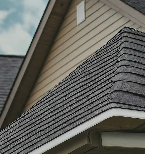 Roof Washing Services Near Me