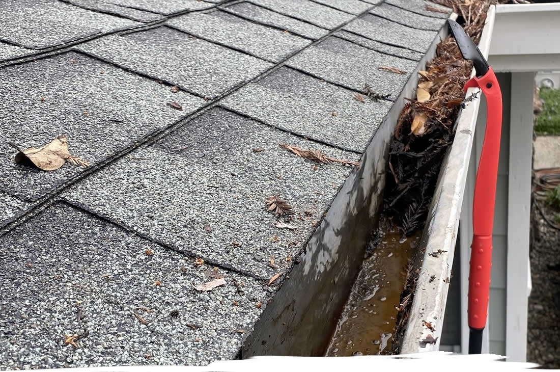 Gutter Cleaning & Brightening Services