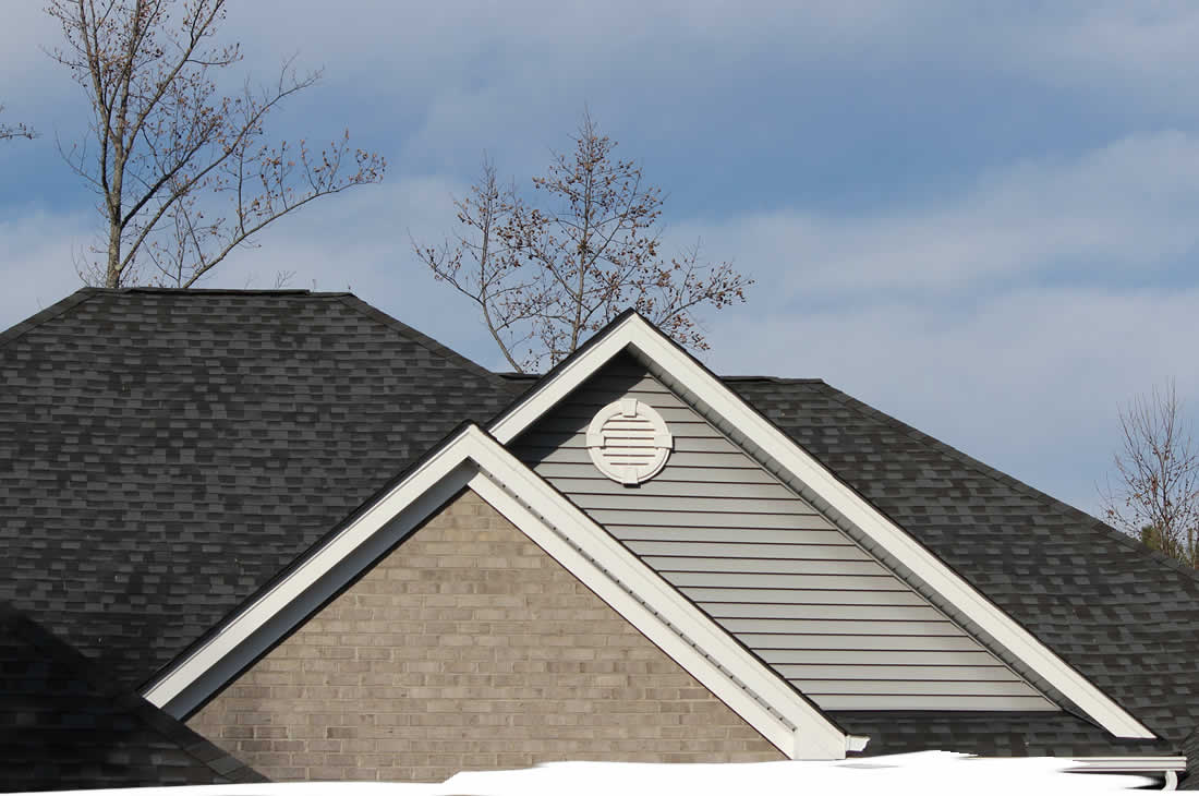 Roof Washing Services