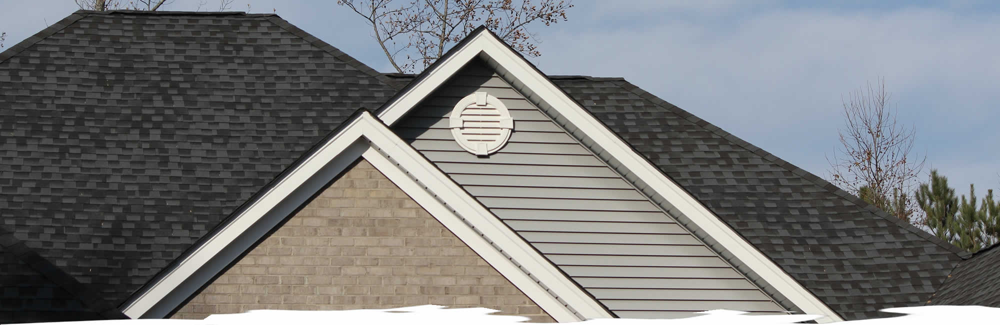 Roof Washing Services