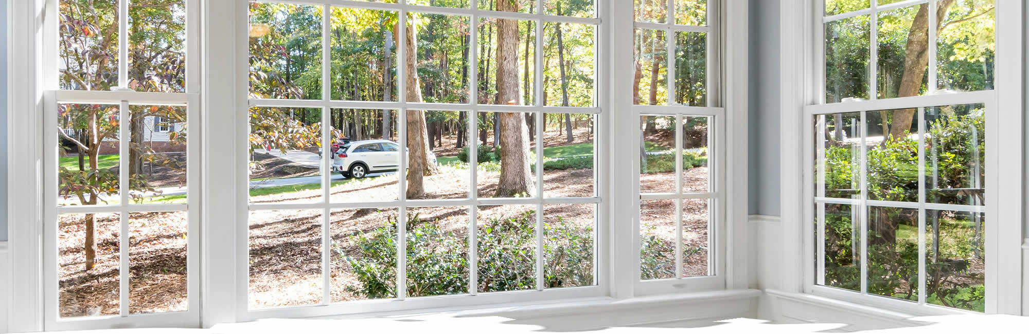 Window Cleaning Services