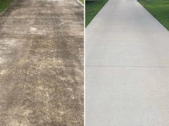 before-driveway-cleaning-3