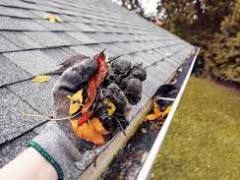 Gutter-Cleaning